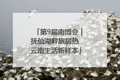 第9届南博会｜抚仙湖畔旅居热 云南生活新样本