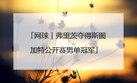 网球｜弗里茨夺得斯图加特公开赛男单冠军