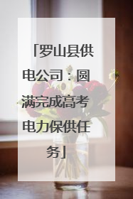 罗山县供电公司：圆满完成高考电力保供任务