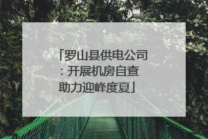 罗山县供电公司：开展机房自查 助力迎峰度夏
