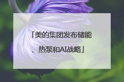 美的集团发布储能、热泵和AI战略