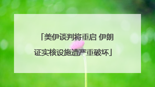 美伊谈判将重启 伊朗证实核设施遭严重破坏
