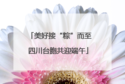 美好接“粽”而至 四川台胞共迎端午