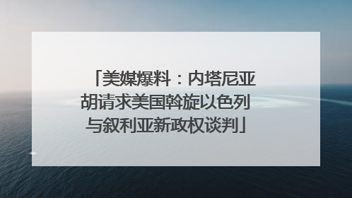 美媒爆料：内塔尼亚胡请求美国斡旋以色列与叙利亚新政权谈判