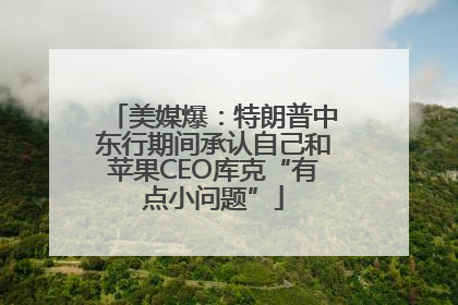 美媒爆：特朗普中东行期间承认自己和苹果CEO库克“有点小问题”