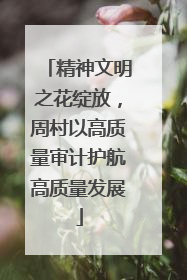 精神文明之花绽放，周村以高质量审计护航高质量发展