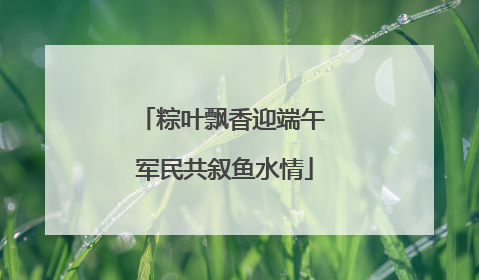 粽叶飘香迎端午 军民共叙鱼水情