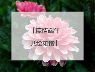 粽情端午 共绘和谐