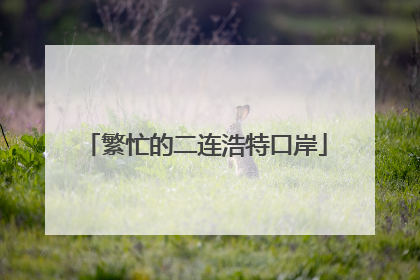 繁忙的二连浩特口岸