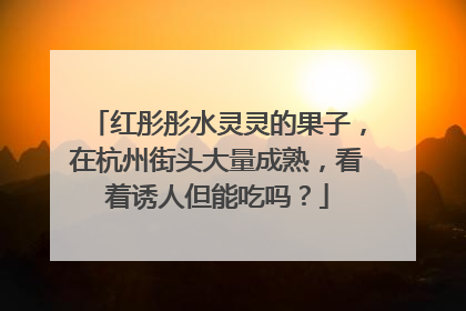 红彤彤水灵灵的果子，在杭州街头大量成熟，看着诱人但能吃吗？
