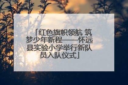 红色旗帜领航 筑梦少年新程——怀远县实验小学举行新队员入队仪式