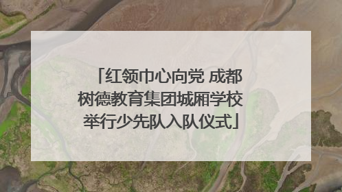 红领巾心向党 成都树德教育集团城厢学校举行少先队入队仪式