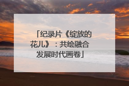 纪录片《绽放的花儿》：共绘融合发展时代画卷