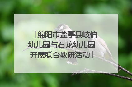 绵阳市盐亭县岐伯幼儿园与石龙幼儿园开展联合教研活动