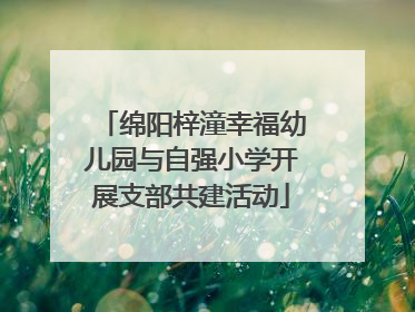 绵阳梓潼幸福幼儿园与自强小学开展支部共建活动