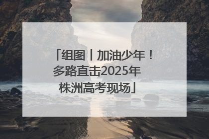 组图丨加油少年！多路直击2025年株洲高考现场