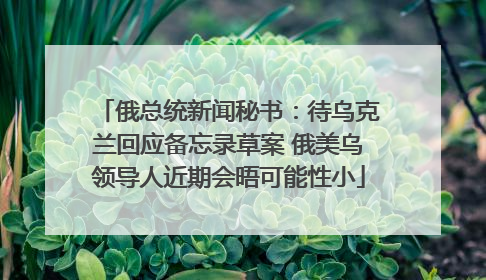 俄总统新闻秘书：待乌克兰回应备忘录草案 俄美乌领导人近期会晤可能性小