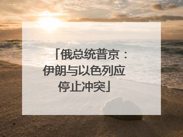 俄总统普京：伊朗与以色列应停止冲突