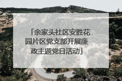 余家头社区安胜花园片区党支部开展廉政主题党日活动