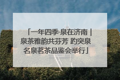 一年四季·泉在济南｜泉茶雅韵共芬芳 趵突泉名泉茗茶品鉴会举行