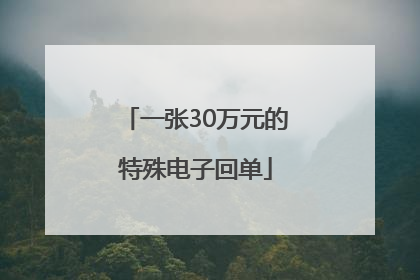 一张30万元的特殊电子回单