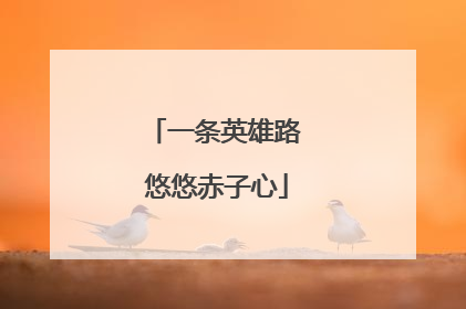 一条英雄路 悠悠赤子心