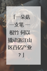 一朵菇 一支笔 一根竹 何以撬动浙江山区百亿产业？