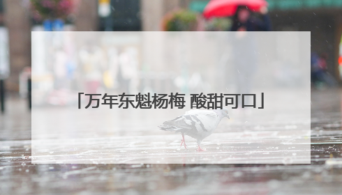 万年东魁杨梅 酸甜可口