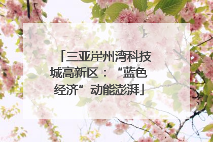 三亚崖州湾科技城高新区：“蓝色经济”动能澎湃