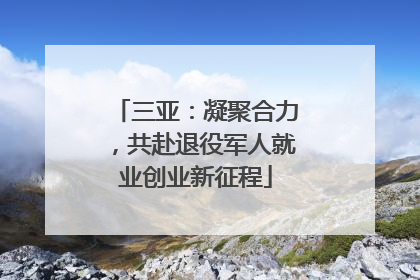三亚：凝聚合力，共赴退役军人就业创业新征程