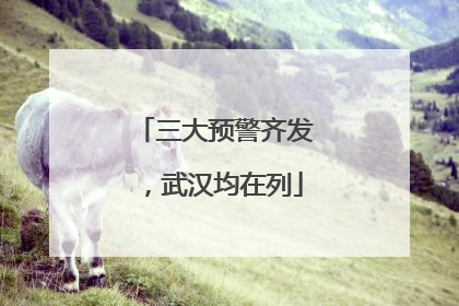 三大预警齐发，武汉均在列