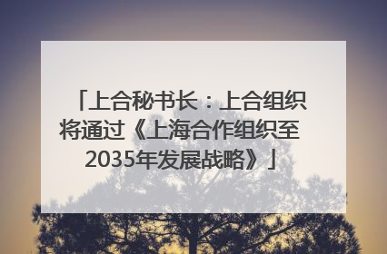 上合秘书长：上合组织将通过《上海合作组织至2035年发展战略》