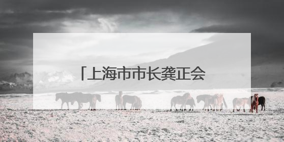 上海市市长龚正会见马来西亚沙捞越州副总理沈桂贤