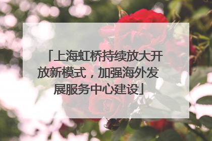 上海虹桥持续放大开放新模式，加强海外发展服务中心建设