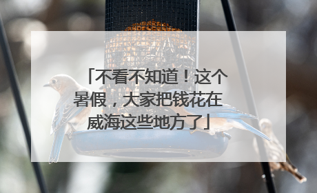 不看不知道！这个暑假，大家把钱花在威海这些地方了
