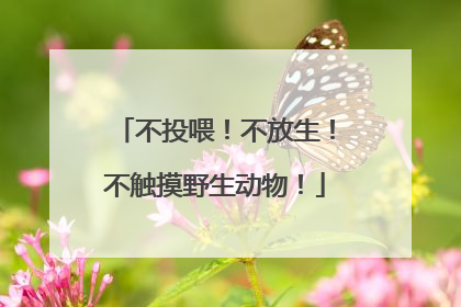 不投喂！不放生！不触摸野生动物！