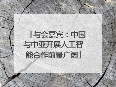 与会嘉宾：中国与中亚开展人工智能合作前景广阔