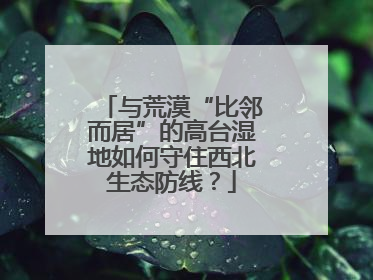 与荒漠“比邻而居”的高台湿地如何守住西北生态防线？