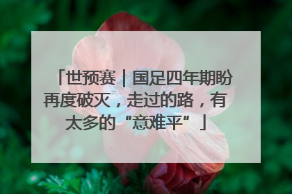 世预赛｜国足四年期盼再度破灭，走过的路，有太多的“意难平”