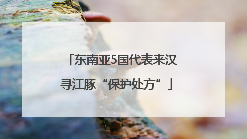 东南亚5国代表来汉寻江豚“保护处方”