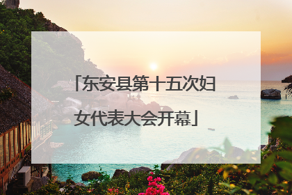 东安县第十五次妇女代表大会开幕