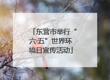 东营市举行“六·五”世界环境日宣传活动