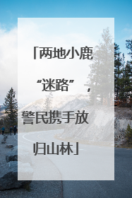 两地小鹿“迷路”，警民携手放归山林