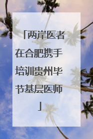 两岸医者在合肥携手培训贵州毕节基层医师