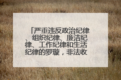 严重违反政治纪律、组织纪律、廉洁纪律、工作纪律和生活纪律的罗璇，非法收受他人巨额财物