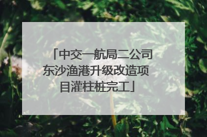 中交一航局二公司东沙渔港升级改造项目灌柱桩完工
