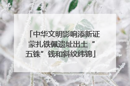 中华文明影响添新证 蒙扎铁佩遗址出土“五铢”钱和斜纹纬锦