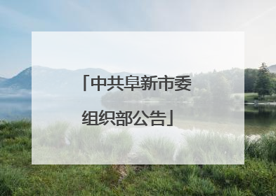 中共阜新市委组织部公告