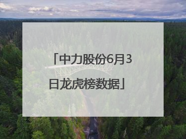中力股份6月3日龙虎榜数据