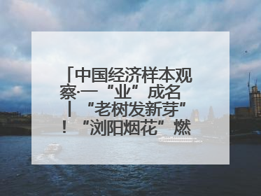 中国经济样本观察·一“业”成名丨“老树发新芽”！“浏阳烟花”燃亮世界
